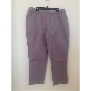 D&Co Pull-On Pants Elastic Waist Stretch Casual Comfort Pants Size 1X NEW